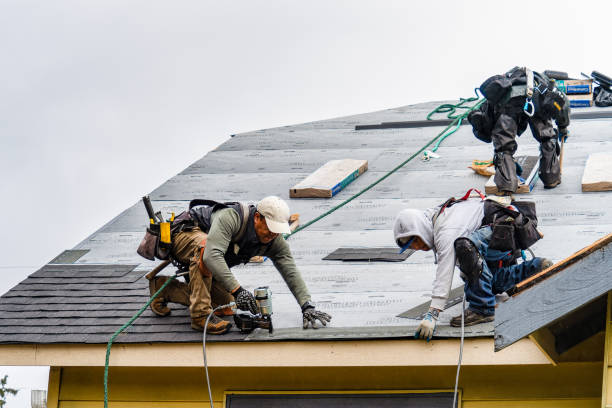 Professional Roofing technician working in Marengo, IL